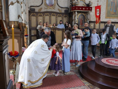 1000004530_resize