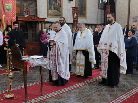 1000004533_resize
