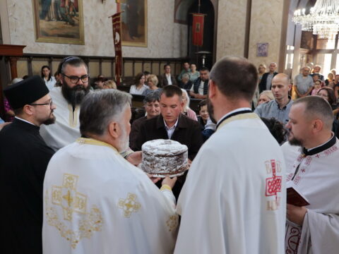 1000004534_resize