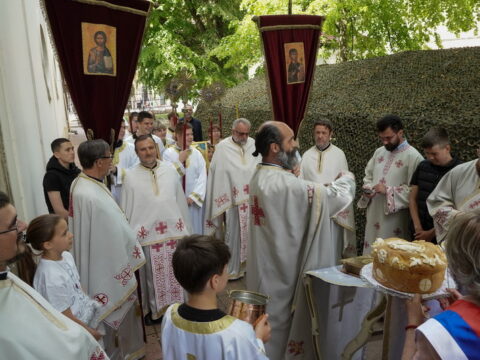 DSC07177_resize