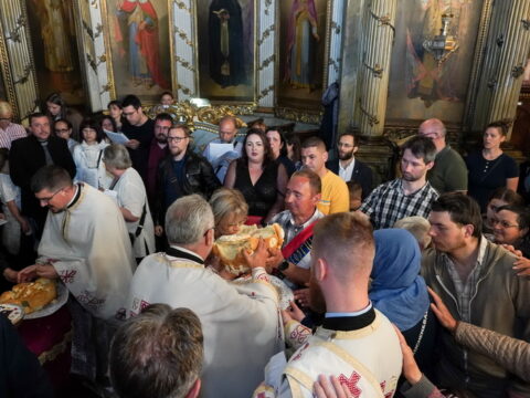 DSC07229_resize