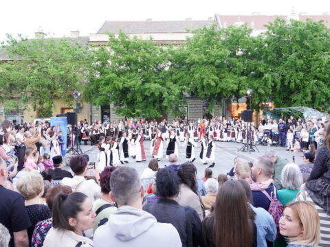 DSC07313_resize