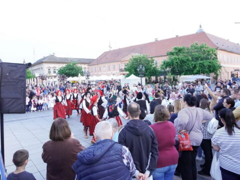 DSC07329_resize