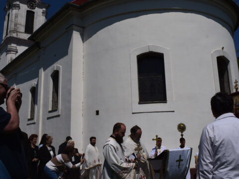 DSC_0480~2_resize
