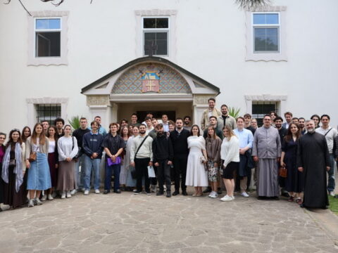 IMG-795413395b4dc3192f2d6999811d4fe7-V_resize