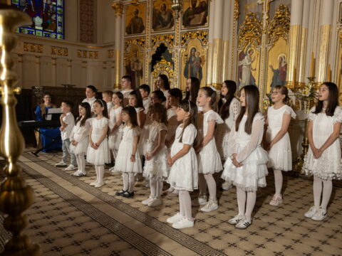 IMG_0006_resize_resize