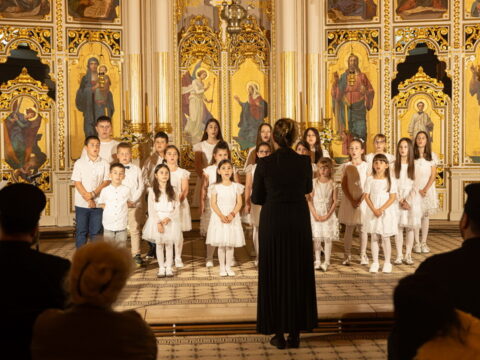 IMG_0017_resize_resize