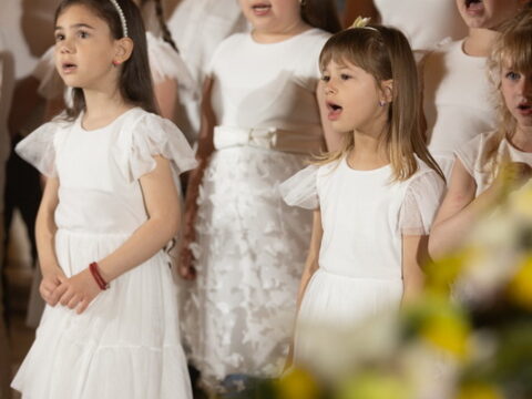 IMG_0028_resize_resize