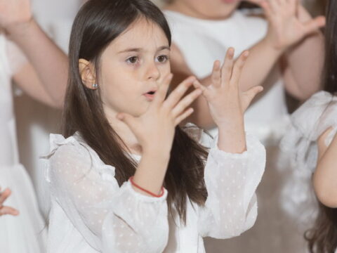 IMG_0062_resize_resize