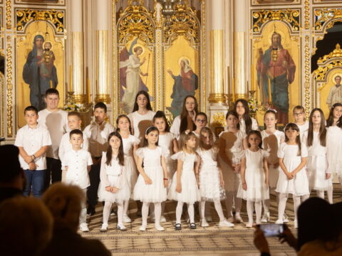 IMG_0081_resize_resize