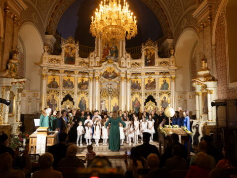 IMG_0348_resize_resize