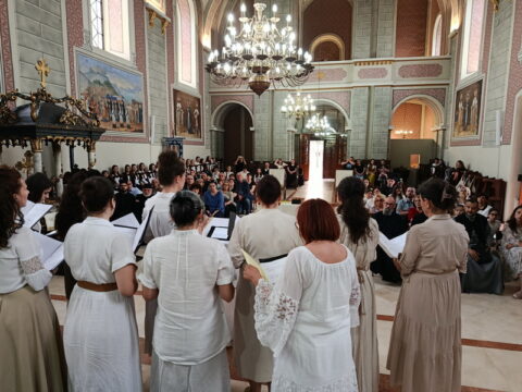 IMG_20260510_190524_resize
