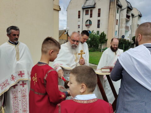 IMG_20260512_102719_resize