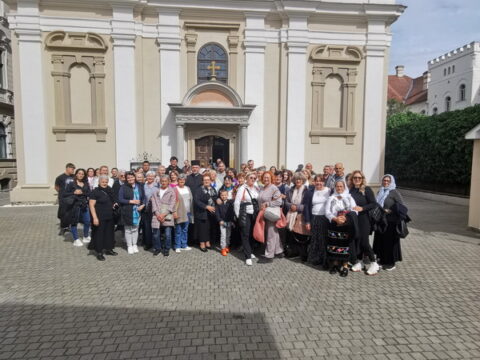 IMG_20260516_162921_90cc13d0-4578-440d-b80a-0337b8f0fc9d_resize