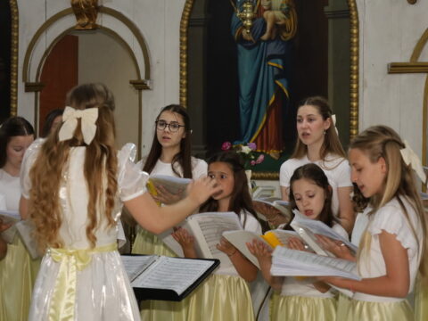 IMG_2213_resize