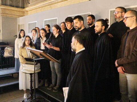 IMG_7223_resize
