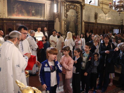 IMG_7231_resize