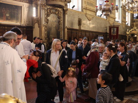 IMG_7235_resize