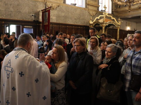 IMG_7236_resize