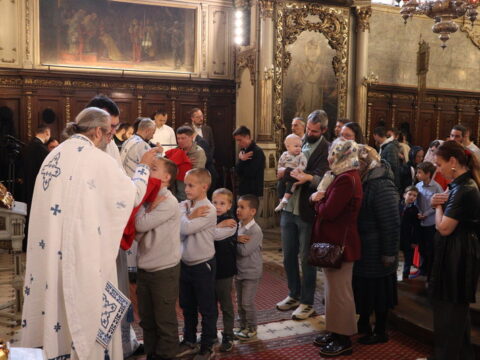 IMG_7239_resize