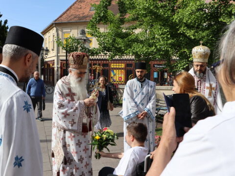 IMG_7483_resize
