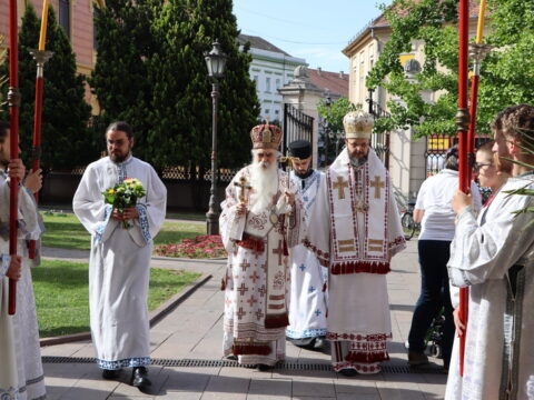 IMG_7488_resize