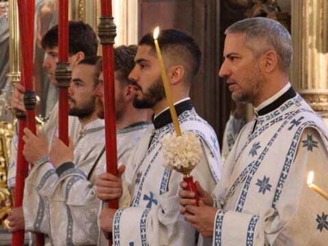 IMG_7555_resize