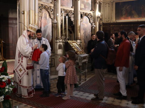 IMG_7661_resize