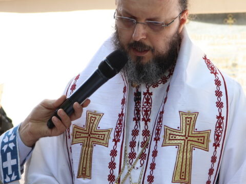 IMG_7688_resize