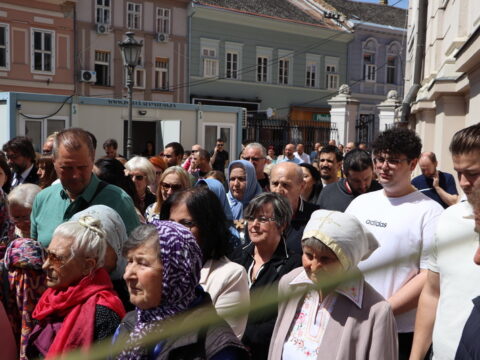 IMG_7704_resize