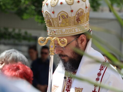IMG_7715_resize
