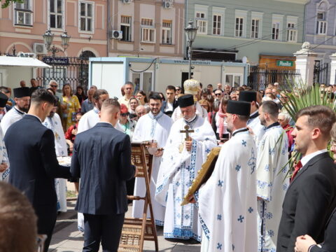 IMG_7716_resize