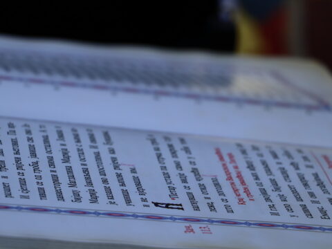 IMG_7728_resize