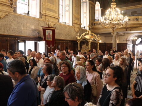 IMG_7802_resize