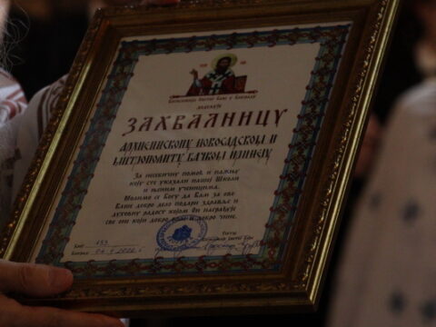 IMG_7813_resize