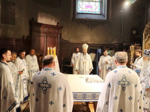 IMG_7940_resize