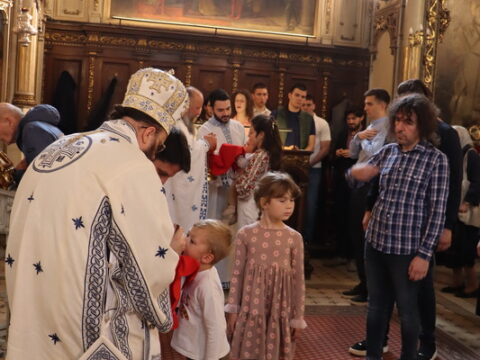 IMG_8100_resize