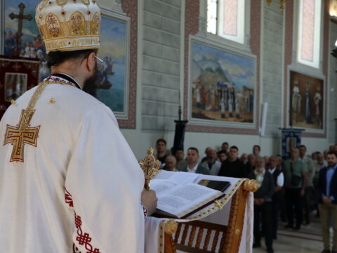IMG_8208_resize