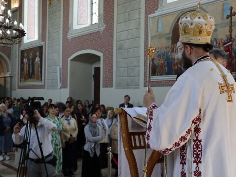 IMG_8209_resize