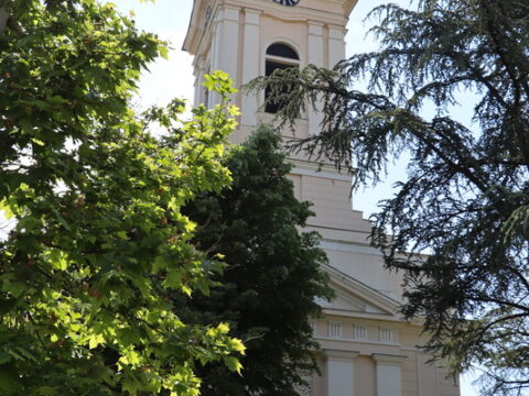 IMG_8224_resize