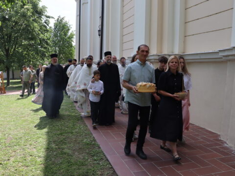 IMG_8251_resize