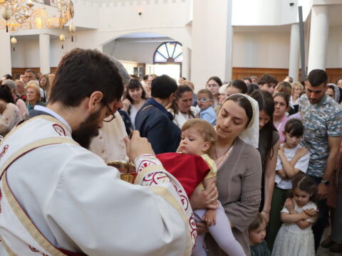 IMG_8376_resize