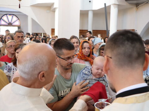 IMG_8377_resize