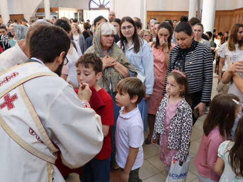 IMG_8381_resize