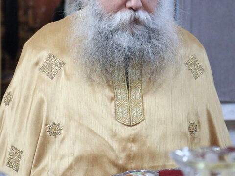 IMG_8741_resize