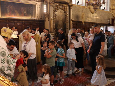 IMG_8954_resize