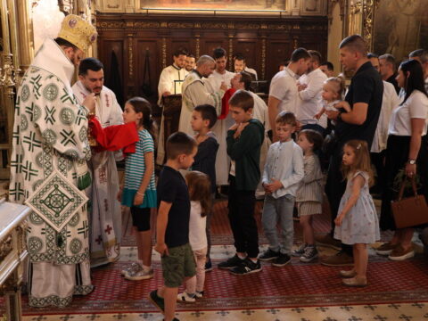 IMG_8956_resize