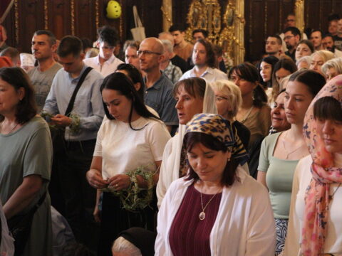 IMG_9008_resize