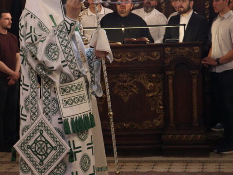 IMG_9012_resize