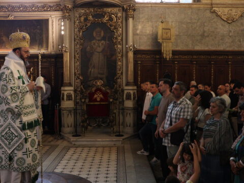IMG_9037_resize